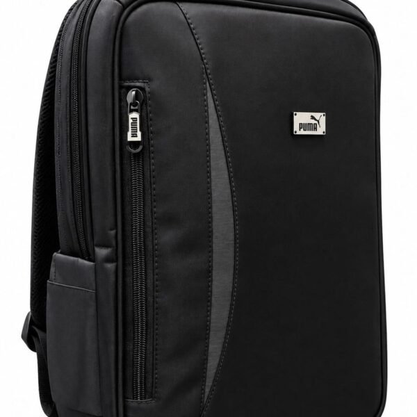All-in-One File & Laptop Backpack